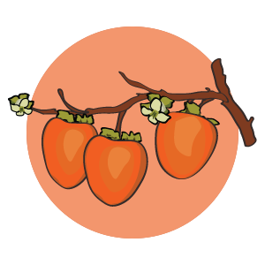 Persimmon Grove Logo