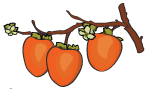 Persimmons